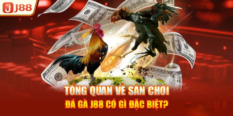 Các bước tham gia Đá gà J88