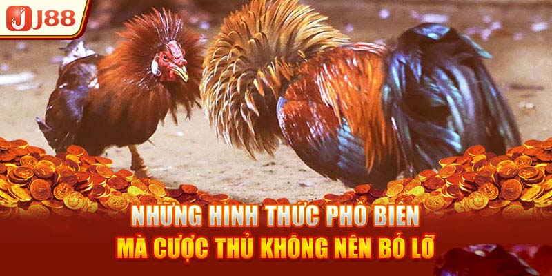 Các loại hình Đá gà J88 hấp dẫn nhất