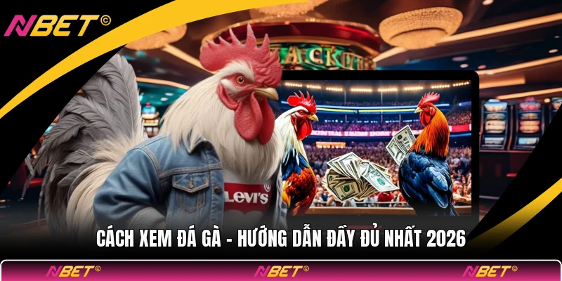 Cách Xem Đá Gà