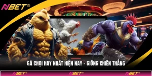 Gà Chọi Hay Nhất Hiện Nay