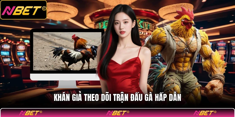 Khán giả theo dõi trận đấu gà hấp dẫn