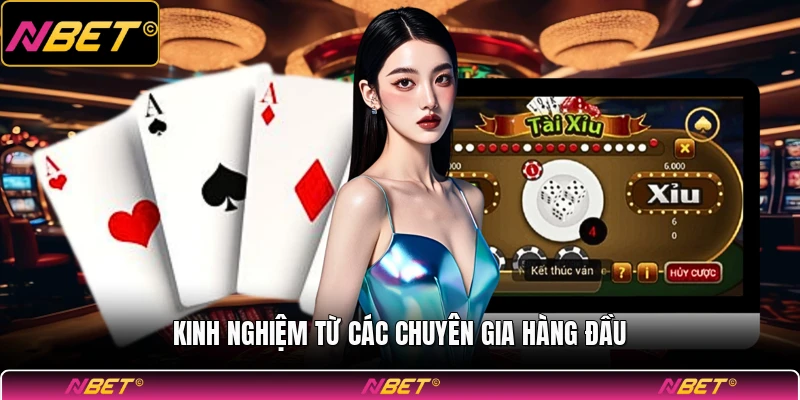 Kinh nghiệm từ các chuyên gia hàng đầu
