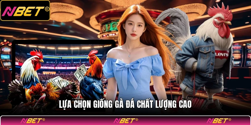 Lựa chọn giống gà đá chất lượng cao